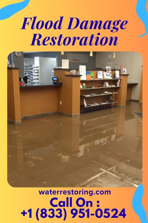 Flood Damage Restoration in Riverwoods, IL