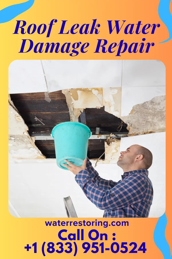 Roof Leak Water Damage Repair in Riverwoods, IL