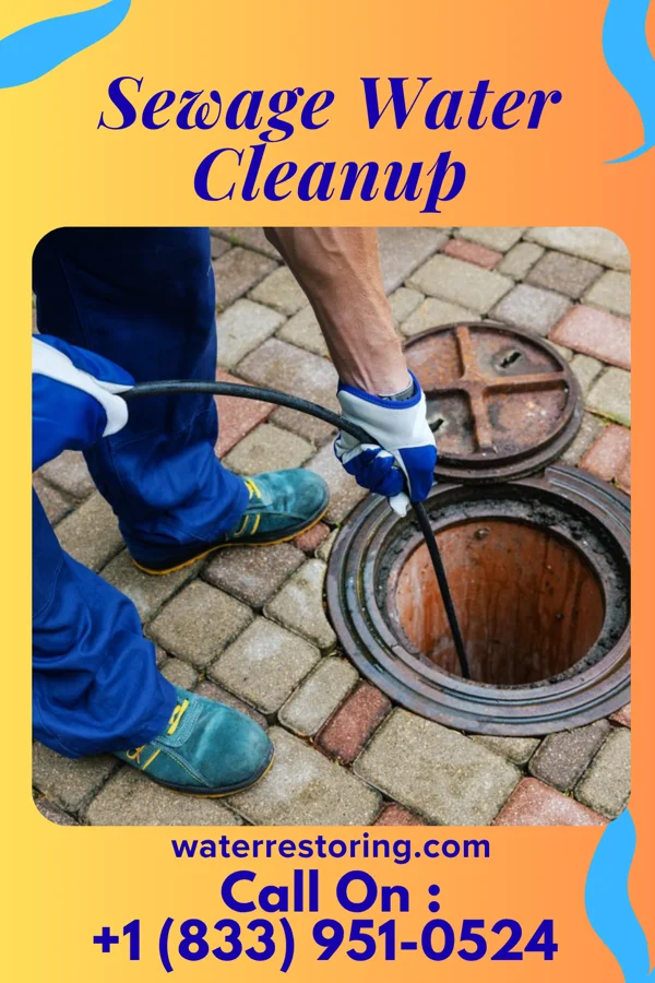 Sewage Water Cleanup in Riverwoods, IL